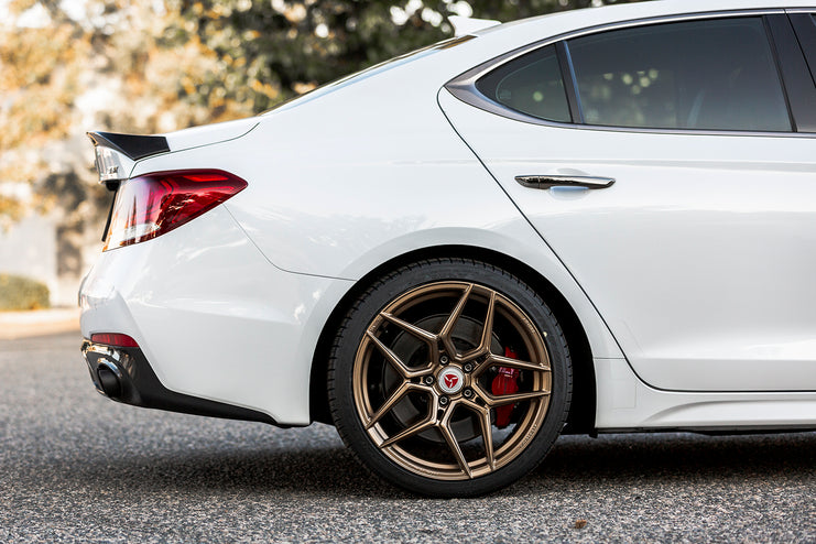 ARK Performance Genesis G70 2019-2022 GT-S Lowering Springs-DSG Performance-USA