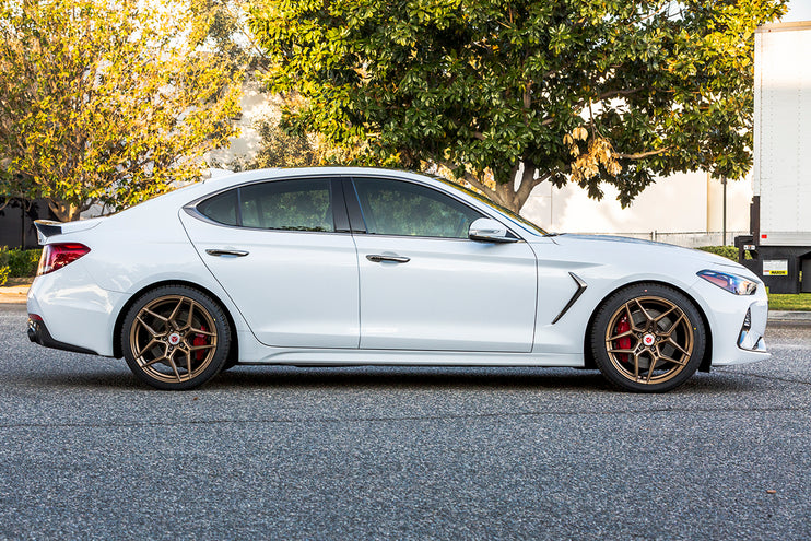 ARK Performance Genesis G70 2019-2022 GT-S Lowering Springs-DSG Performance-USA