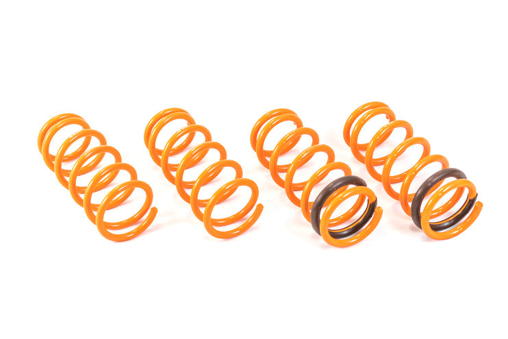 ARK Performance Honda S2000 2000-2009 GT-F Lowering Springs-DSG Performance-USA