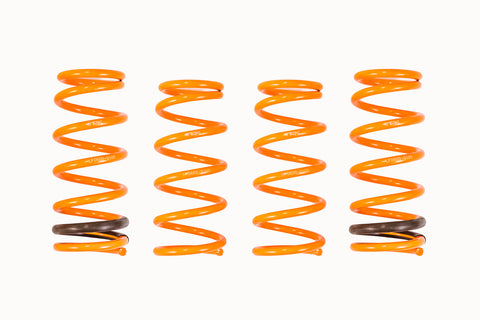 ARK Performance Honda S2000 2000-2009 GT-F Lowering Springs-DSG Performance-USA