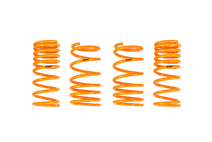 ARK Performance Scion FR-S 2013-2021 GT-F Lowering Springs-DSG Performance-USA